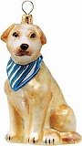 Yellow Lab with Bandana